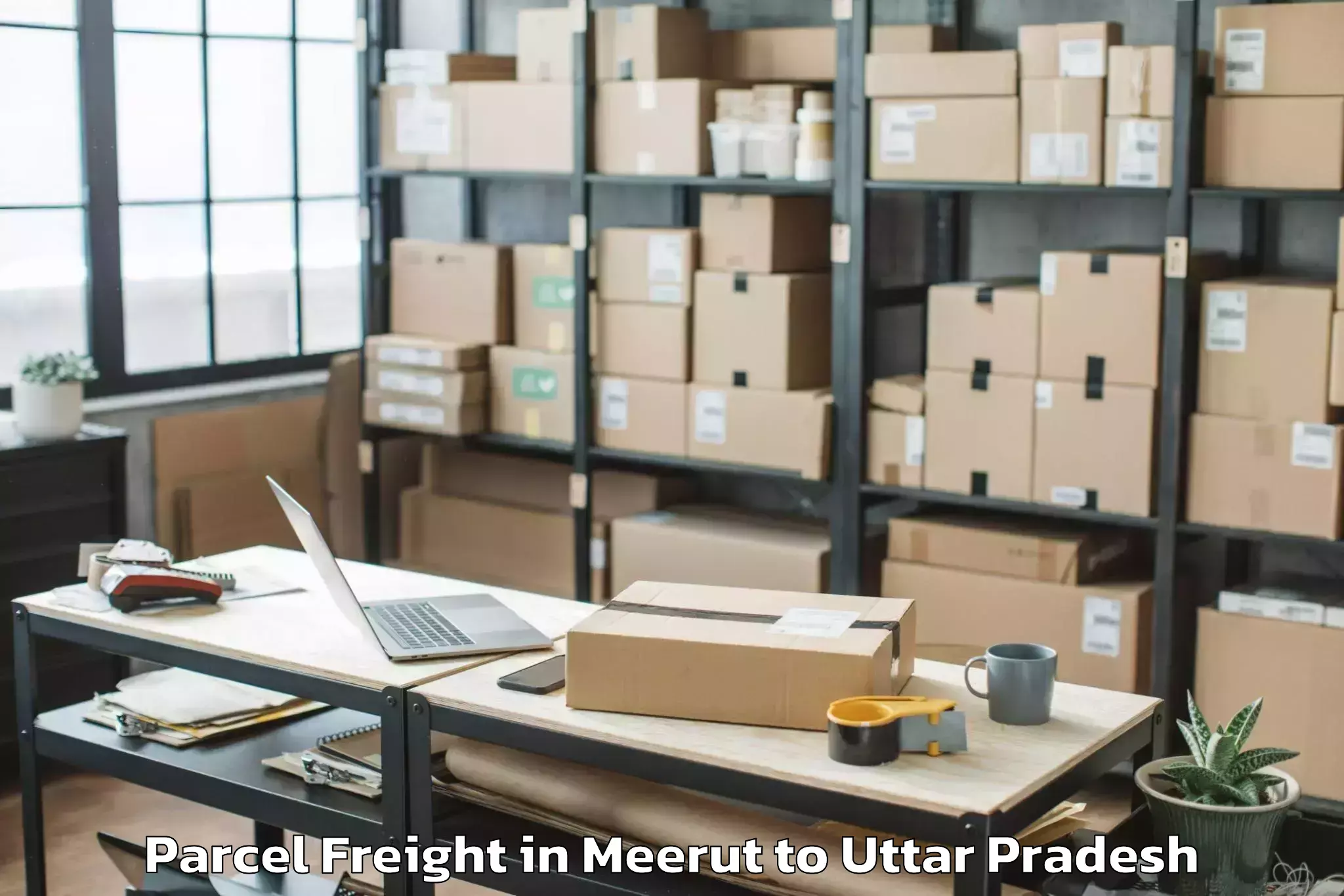 Book Meerut to Unchahar Parcel Freight